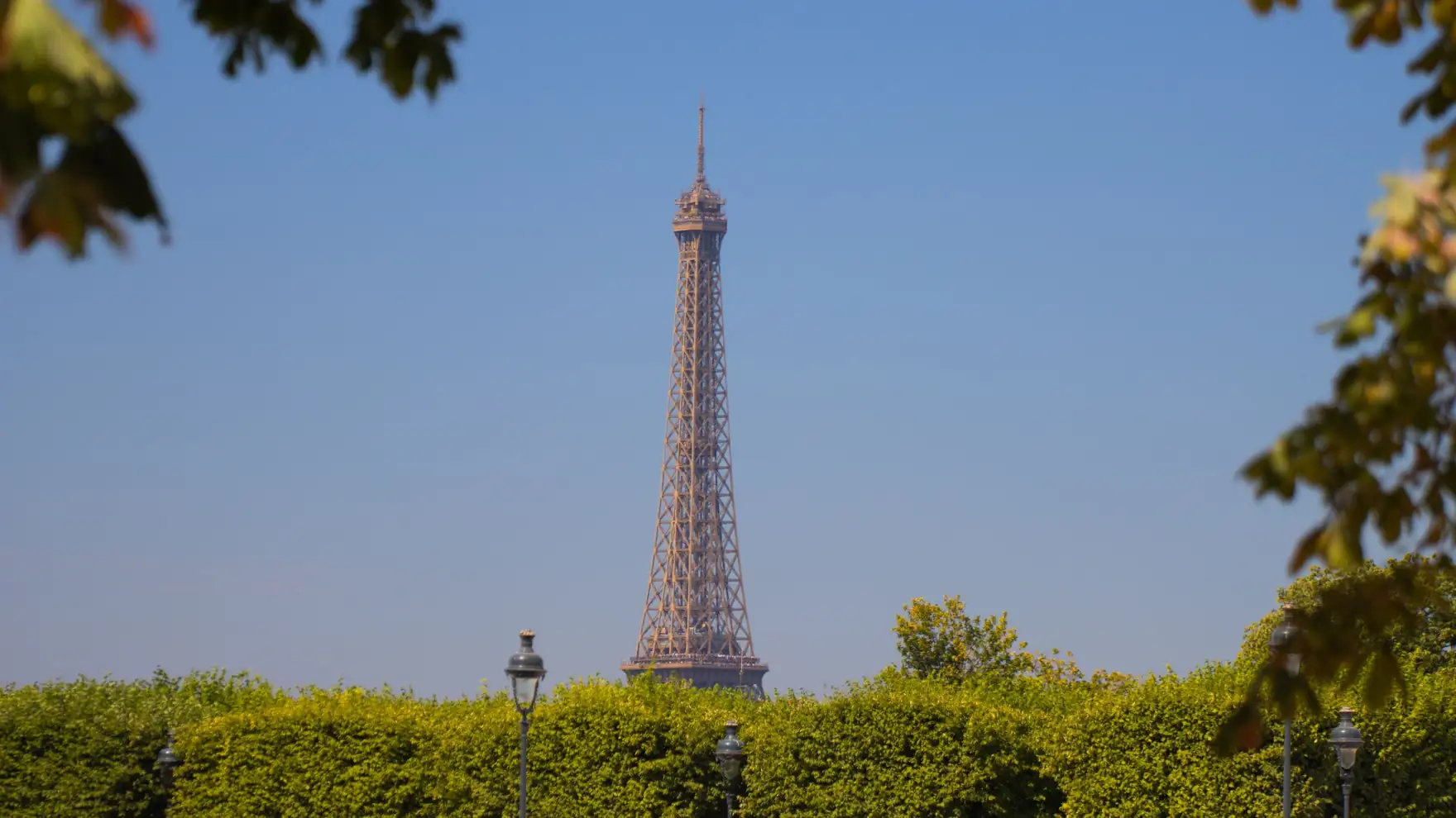 Scenic view of the Eiffel Tower framed by lush green trees against a clear blue sky in Paris, France