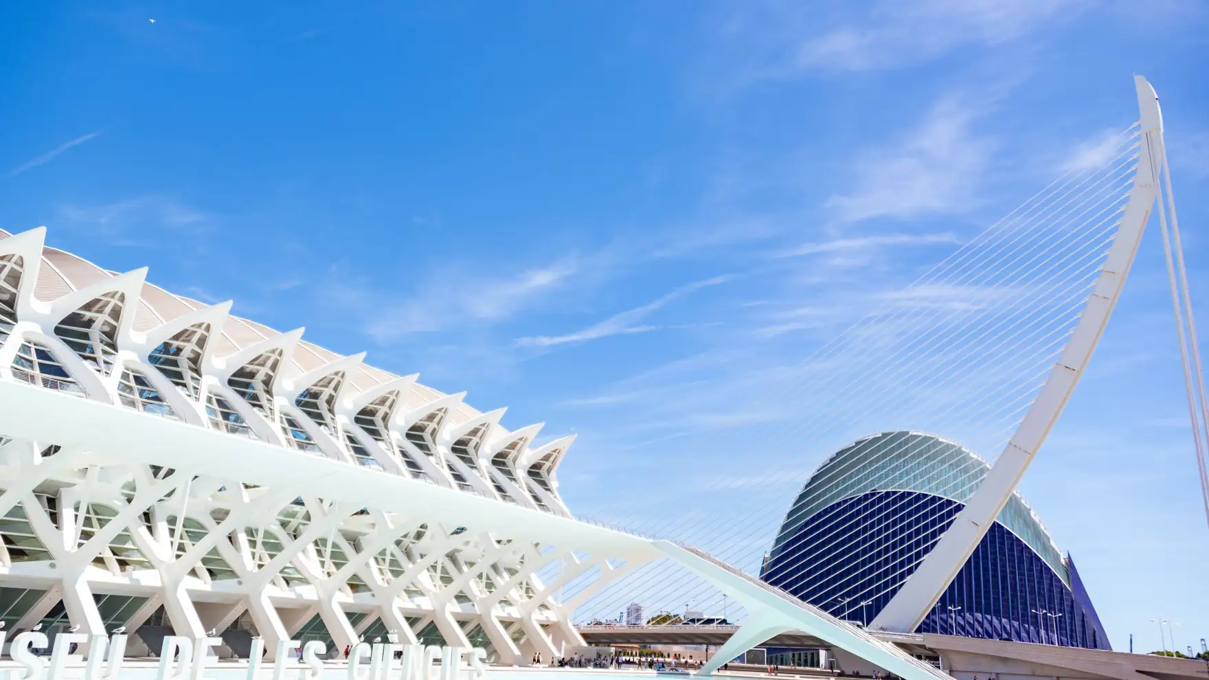 Explore the modern architecture of Valencia's City of Arts and Sciences under a clear blue sky